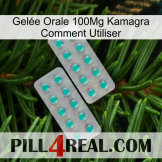 Gelée Orale 100Mg Kamagra Comment Utiliser 29